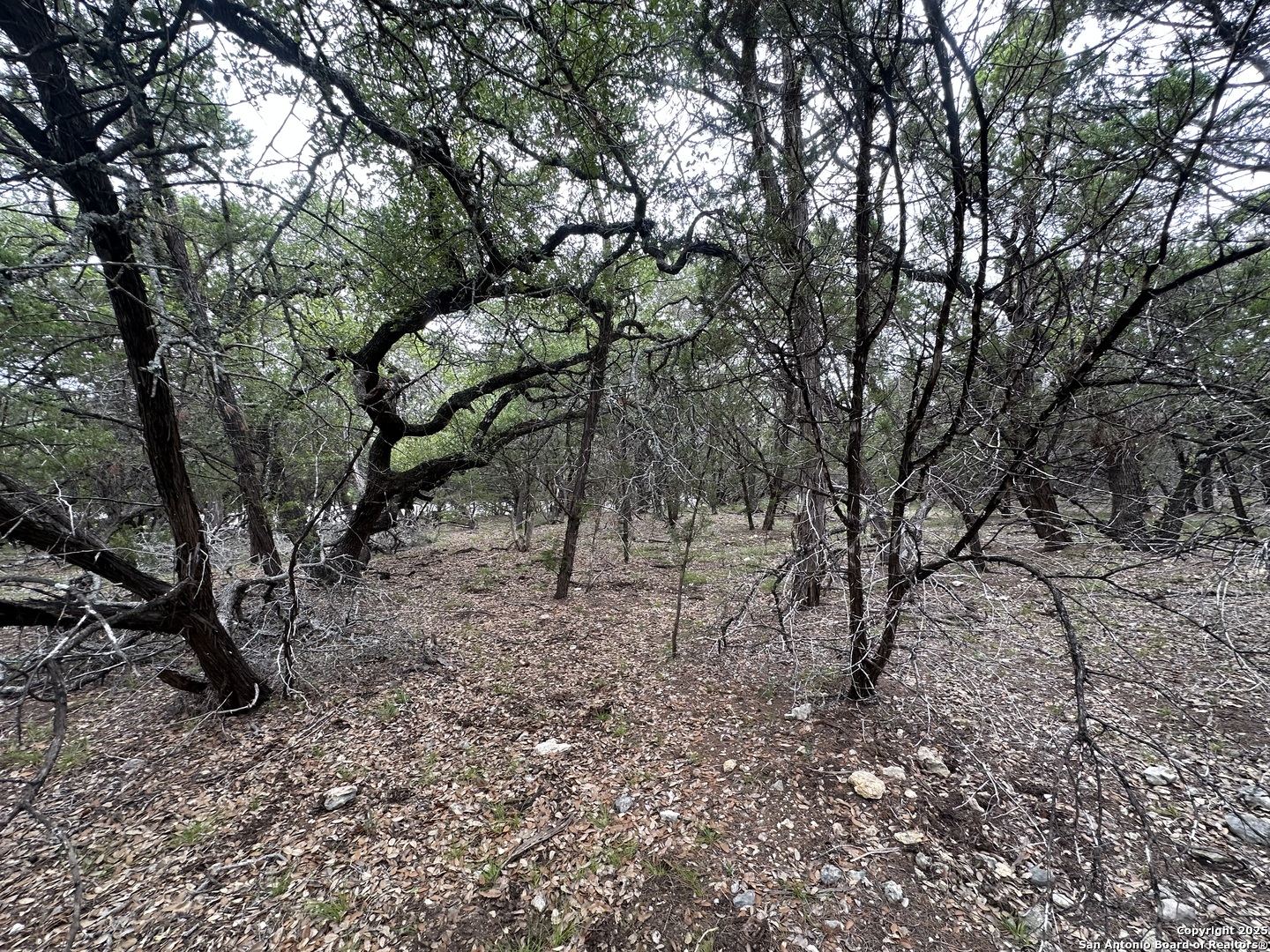 000 Blanco Road San Antonio TX 78260