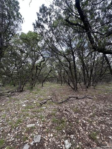 000 Blanco Road San Antonio TX 78260
