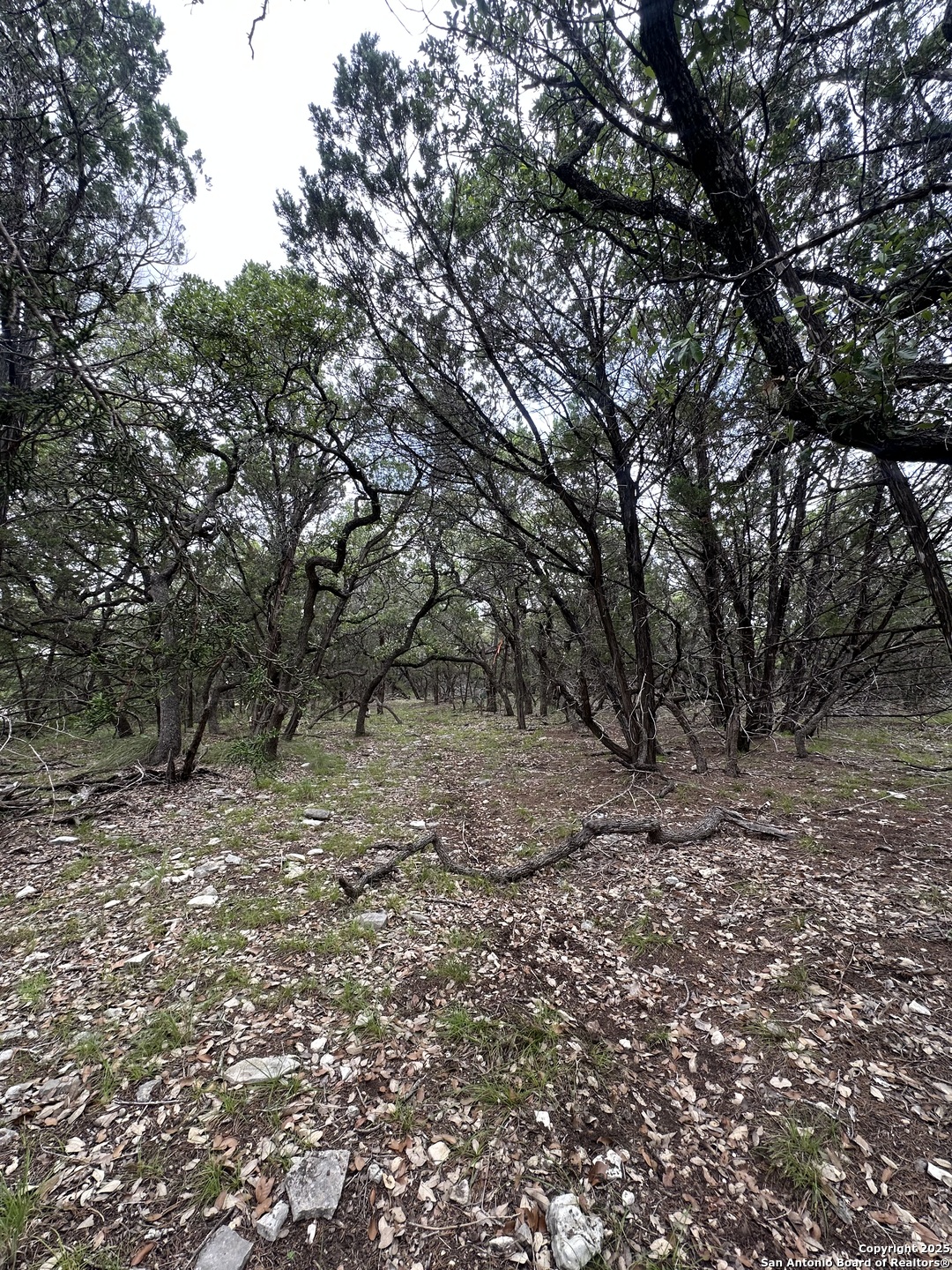 000 Blanco Road San Antonio TX 78260