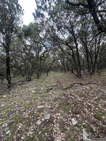 000 Blanco Road San Antonio TX 78260