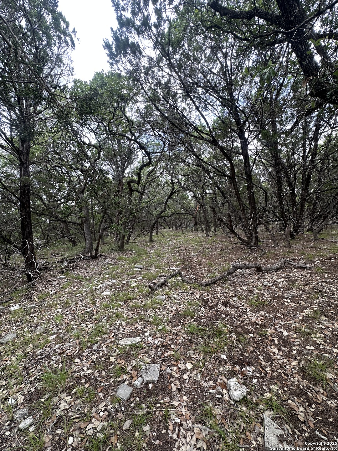000 Blanco Road San Antonio TX 78260