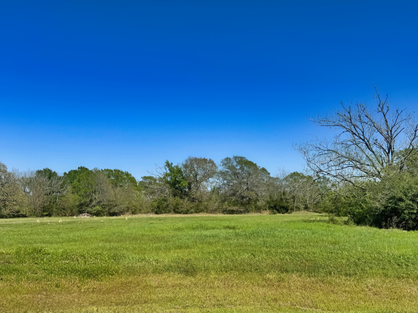 10270 Panther Creek Drive Iola TX 77861