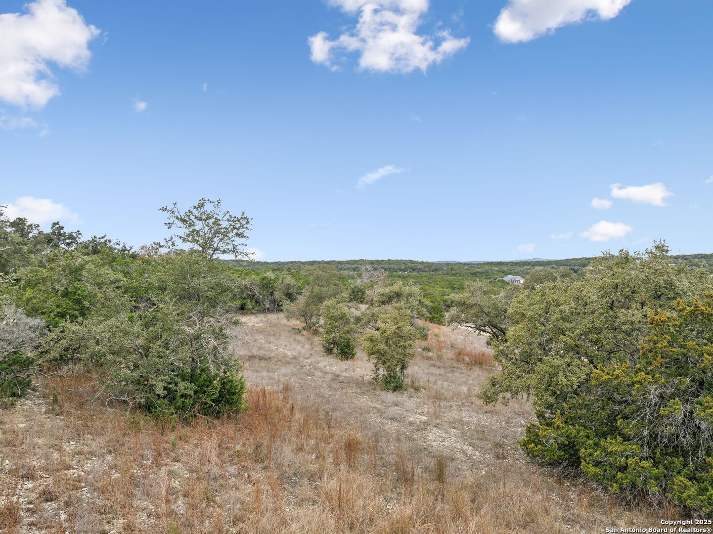1009 Malbec Loop Canyon Lake TX 78133