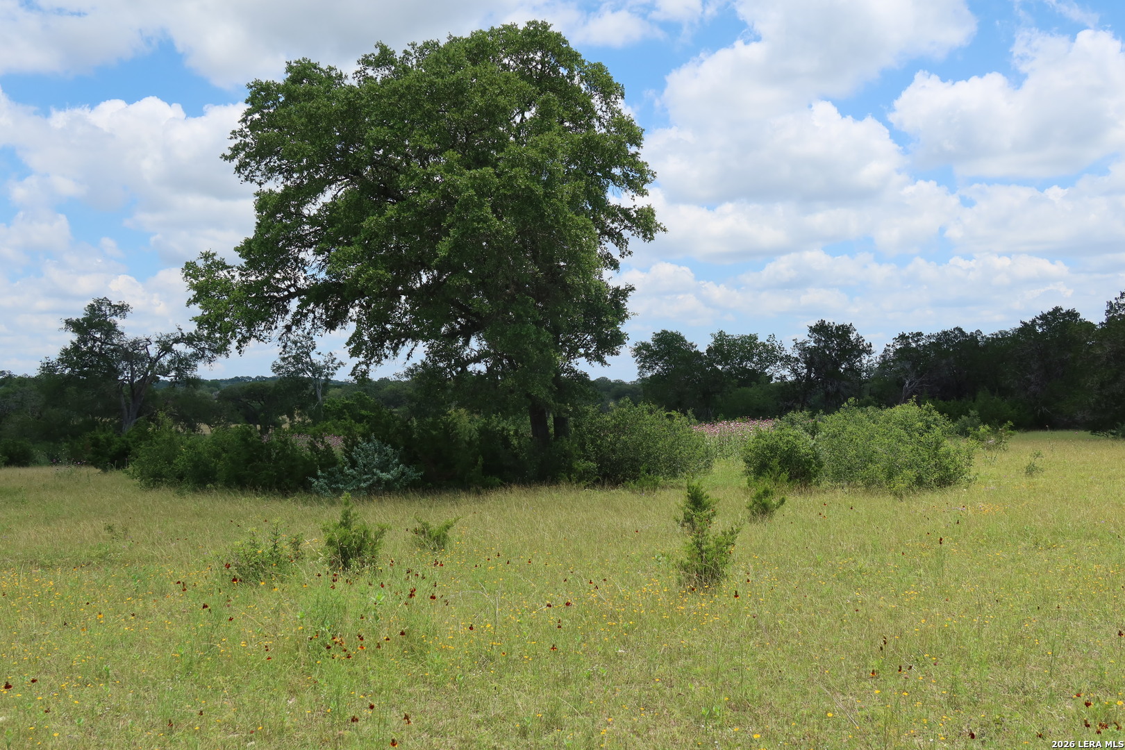 Tbd 50 Acres Rodeo Road Bandera TX 78003