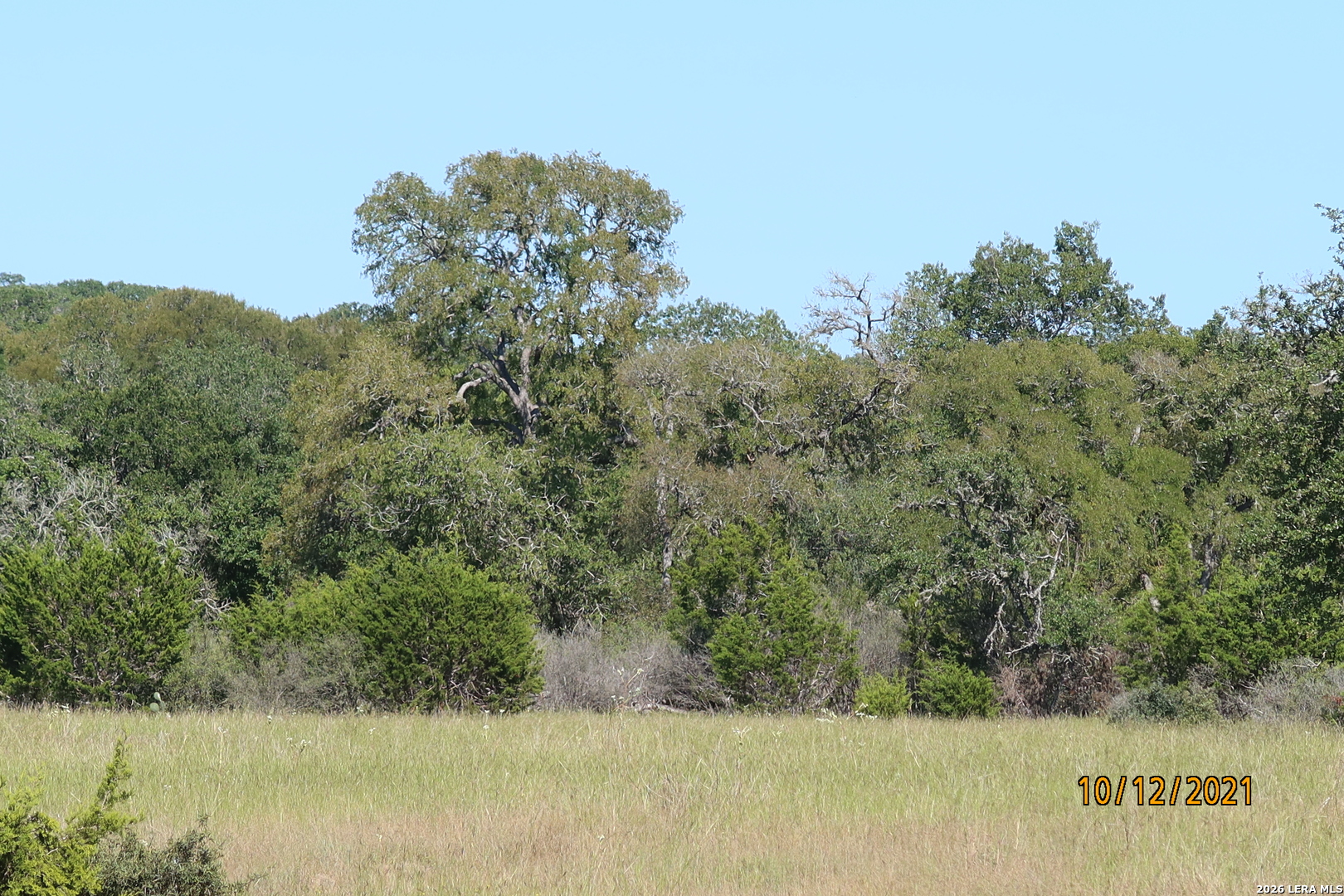 Tbd 50 Acres Rodeo Road Bandera TX 78003