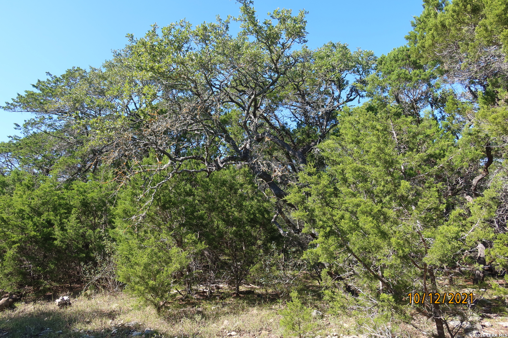 Tbd 50 Acres Rodeo Road Bandera TX 78003