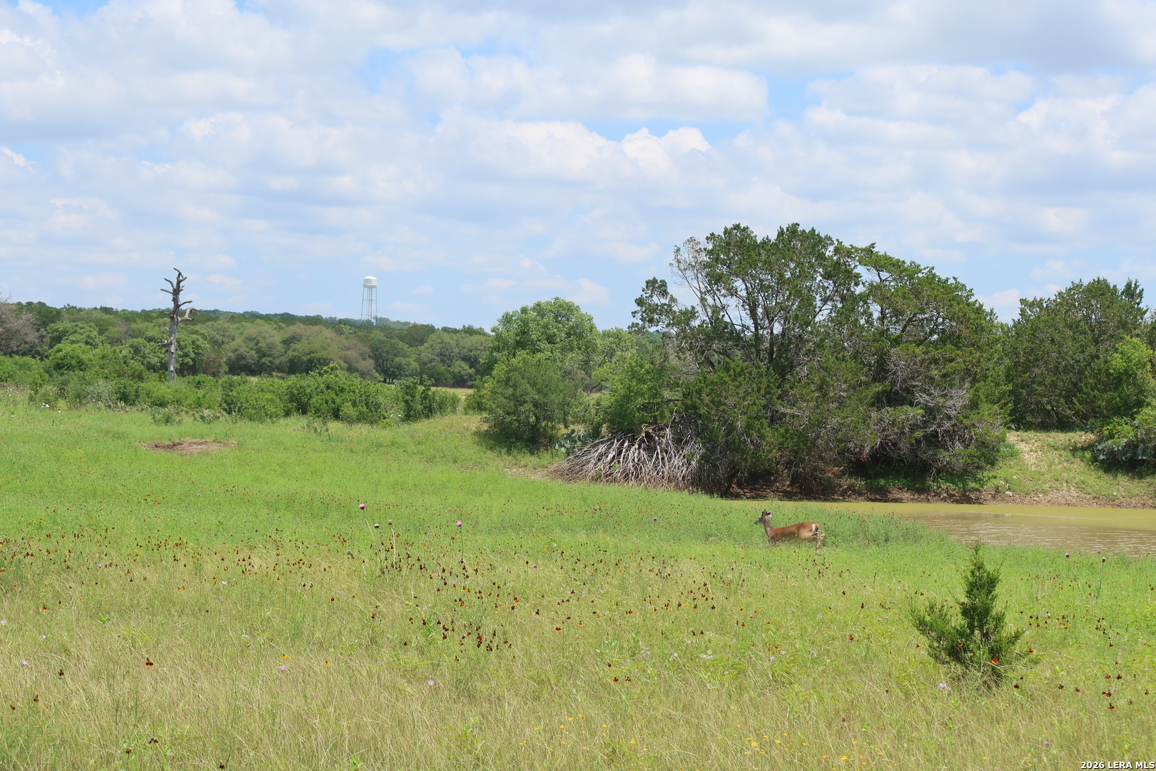 Tbd 50 Acres Rodeo Road Bandera TX 78003