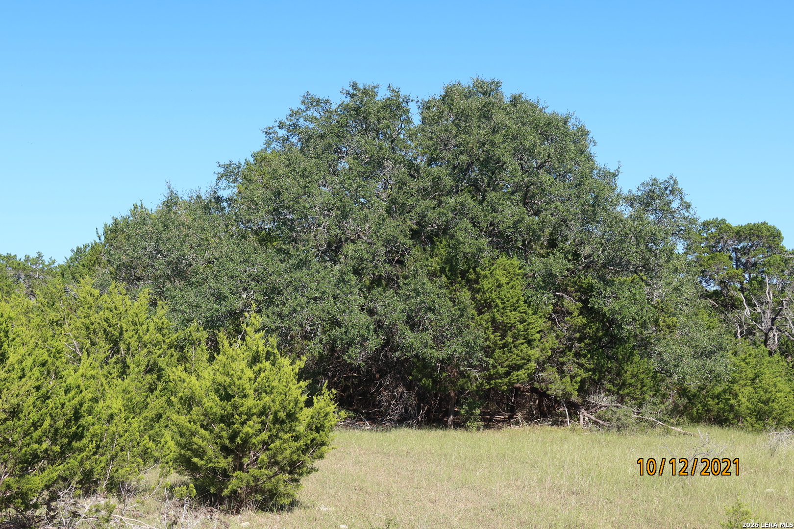 Tbd 50 Acres Rodeo Road Bandera TX 78003