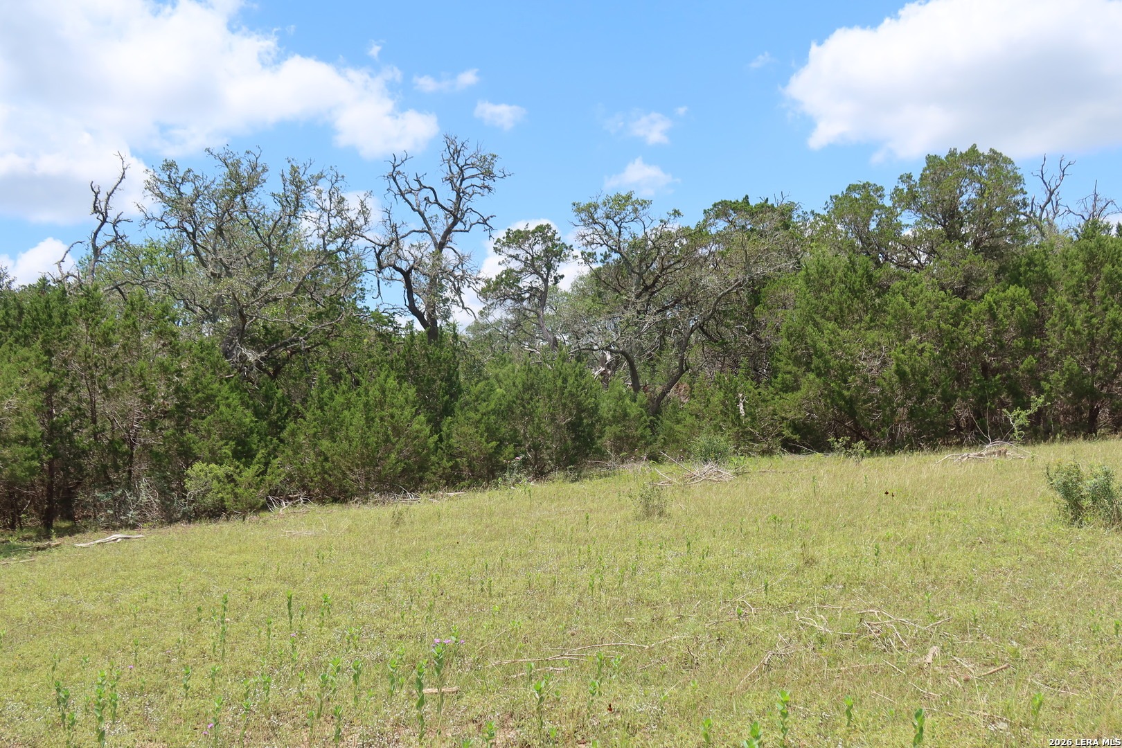 Tbd 50 Acres Rodeo Road Bandera TX 78003