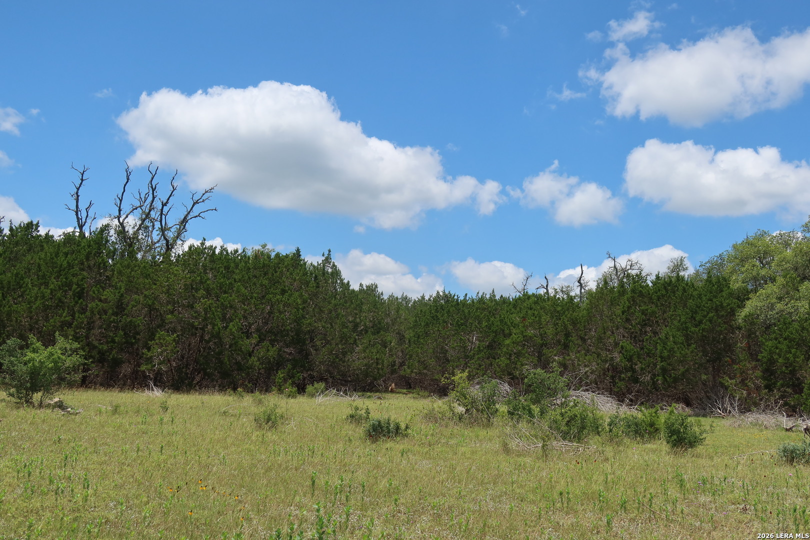 Tbd 50 Acres Rodeo Road Bandera TX 78003