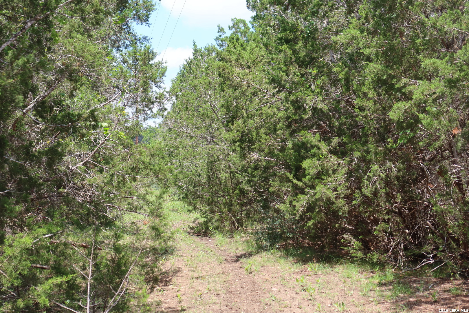 Tbd 50 Acres Rodeo Road Bandera TX 78003