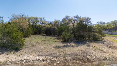 34628 Ansley Ridge Bulverde TX 78163