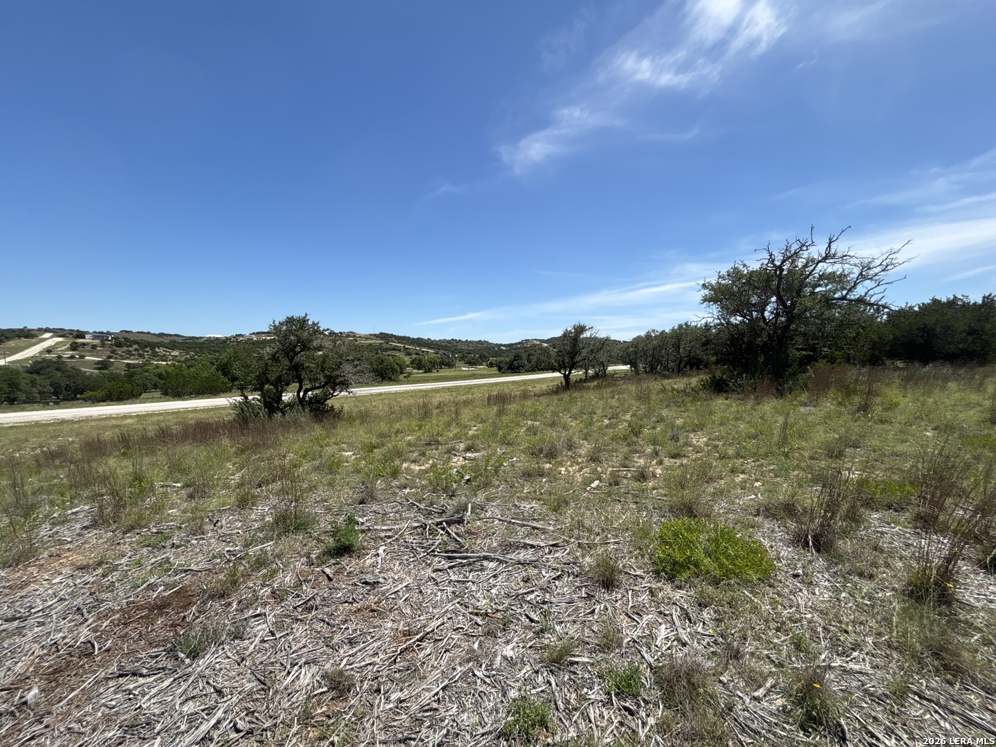 Lot 103 Majestic Hills Drive Blanco TX 78606