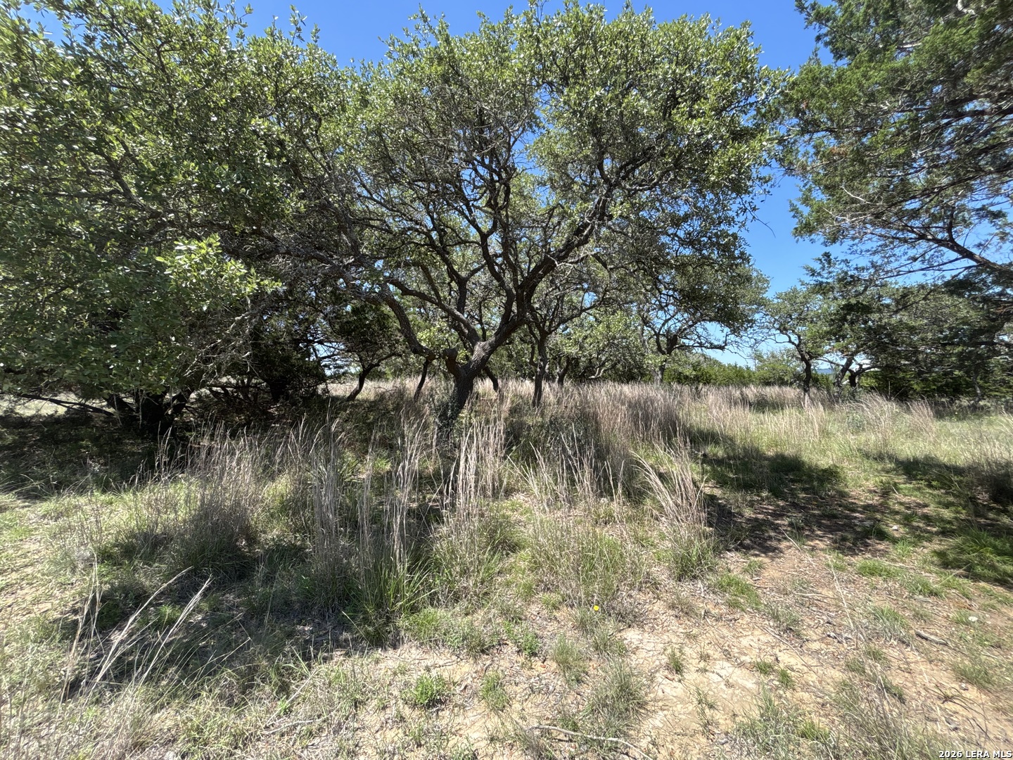 Lot 103 Majestic Hills Drive Blanco TX 78606