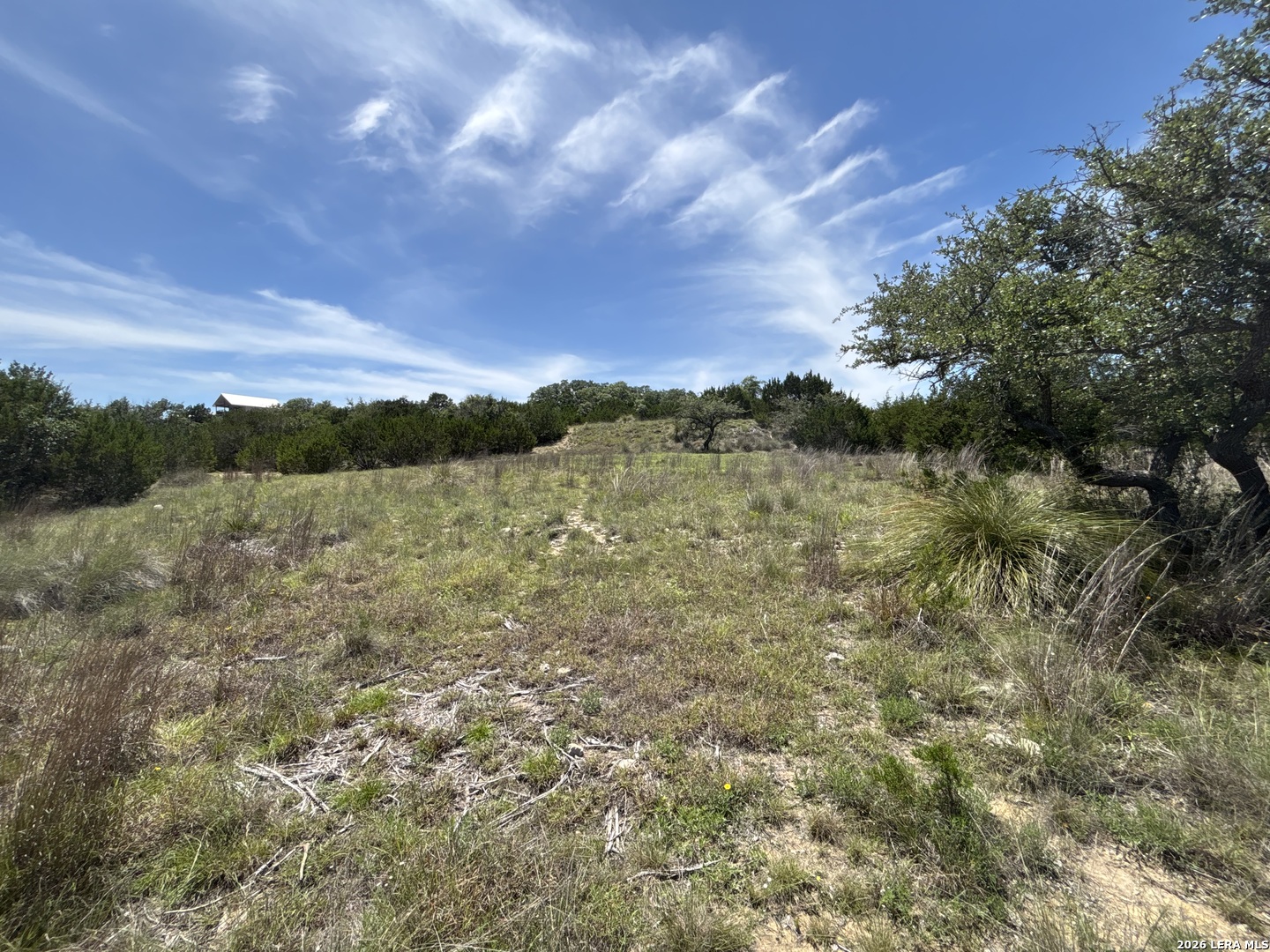 Lot 103 Majestic Hills Drive Blanco TX 78606