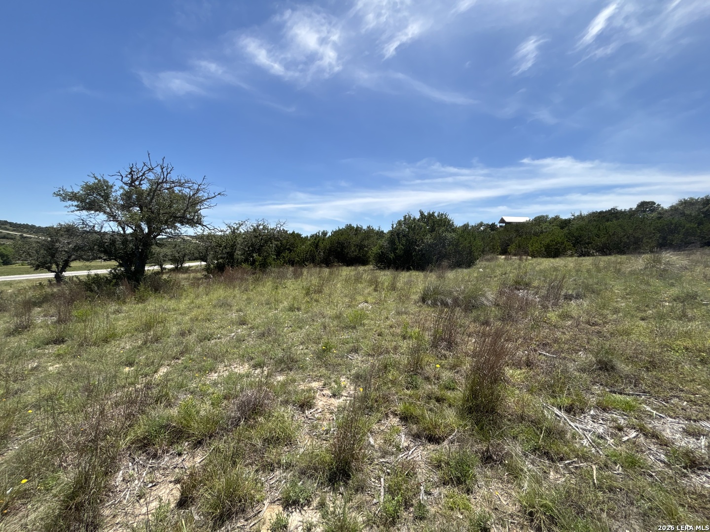 Lot 103 Majestic Hills Drive Blanco TX 78606