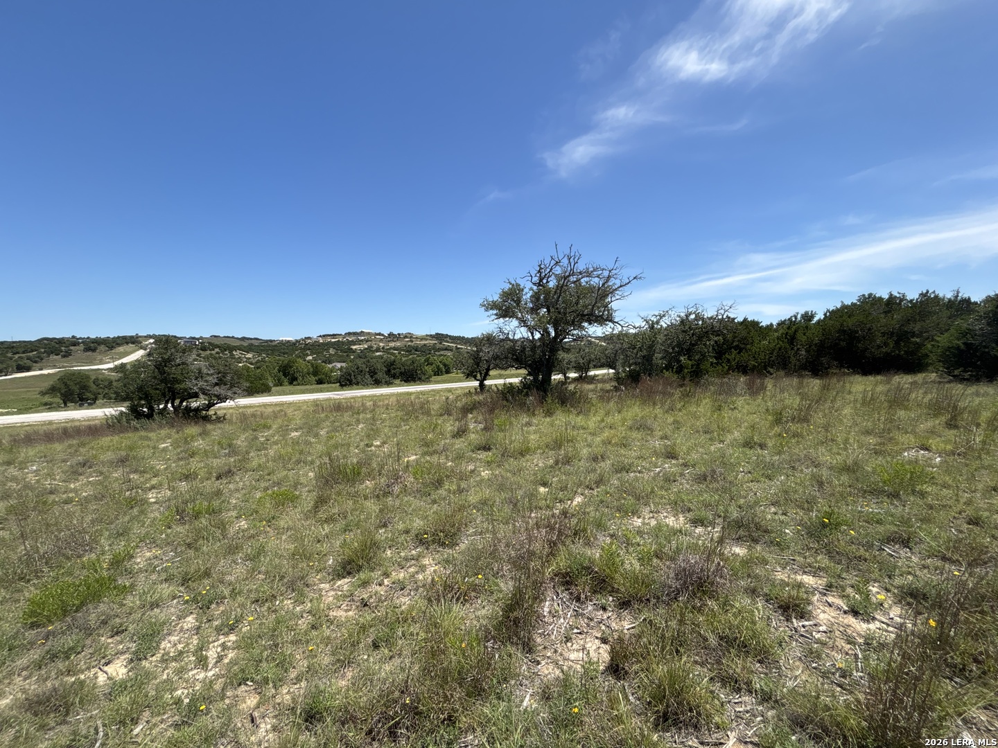 Lot 103 Majestic Hills Drive Blanco TX 78606