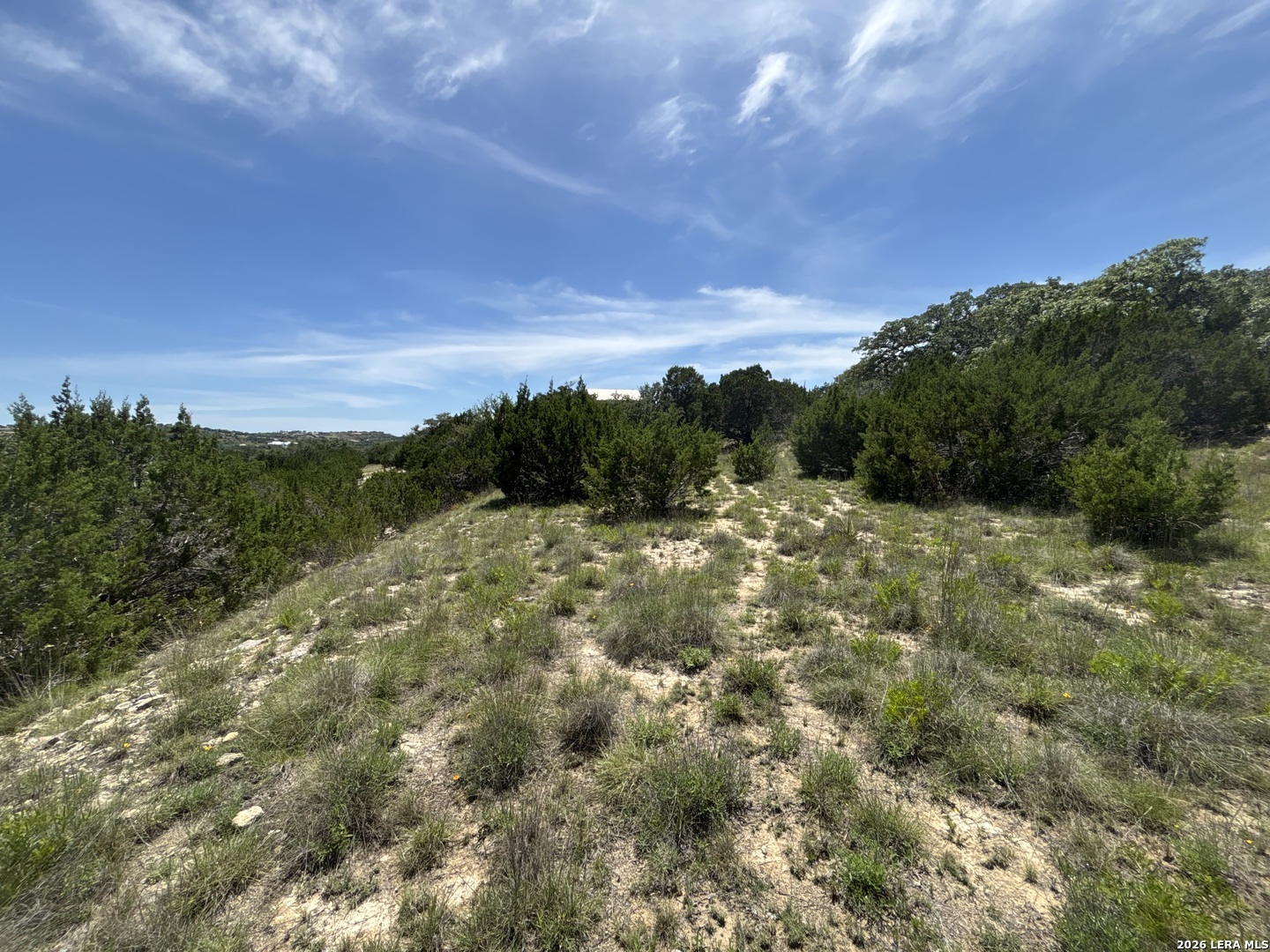 Lot 103 Majestic Hills Drive Blanco TX 78606