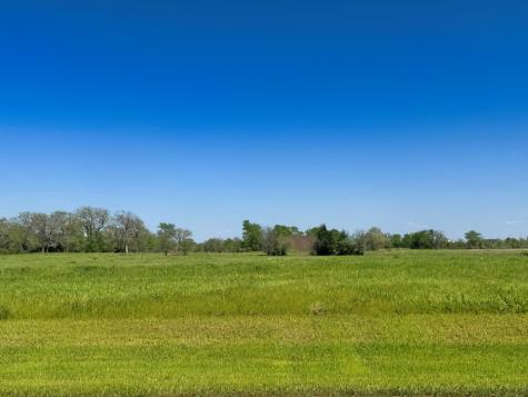 10042 Panther Creek Drive Iola TX 77861