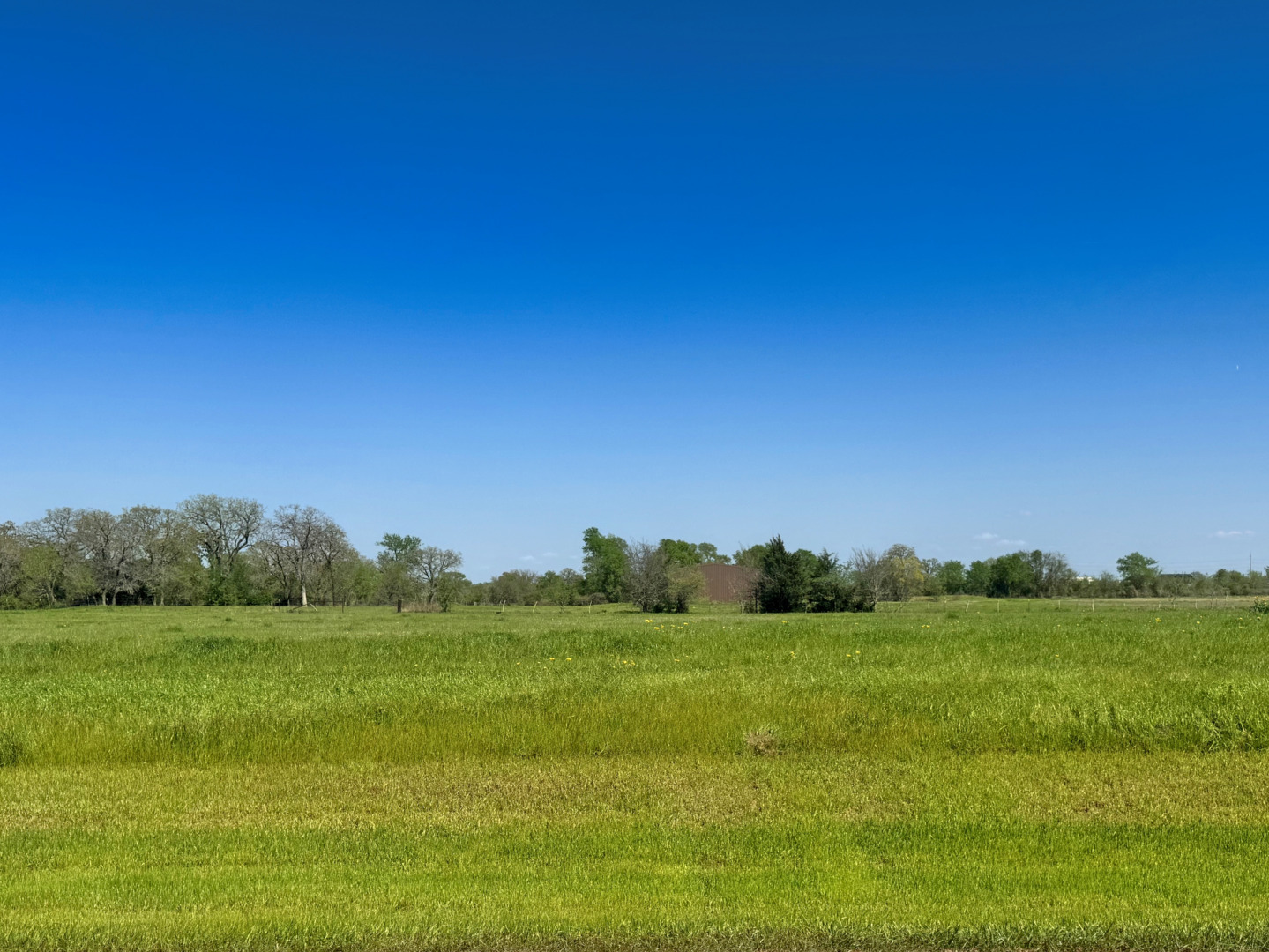 10042 Panther Creek Drive Iola TX 77861