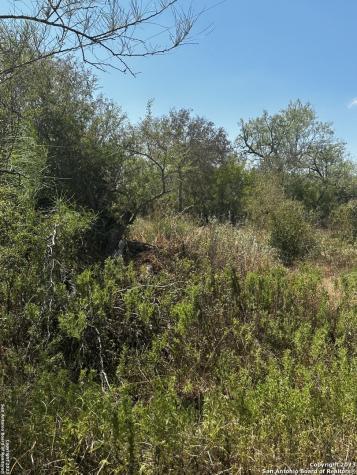 5958 Cr 405 Floresville TX 78114