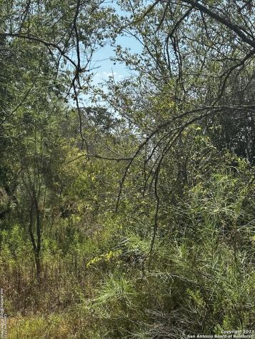 5958 Cr 405 Floresville TX 78114