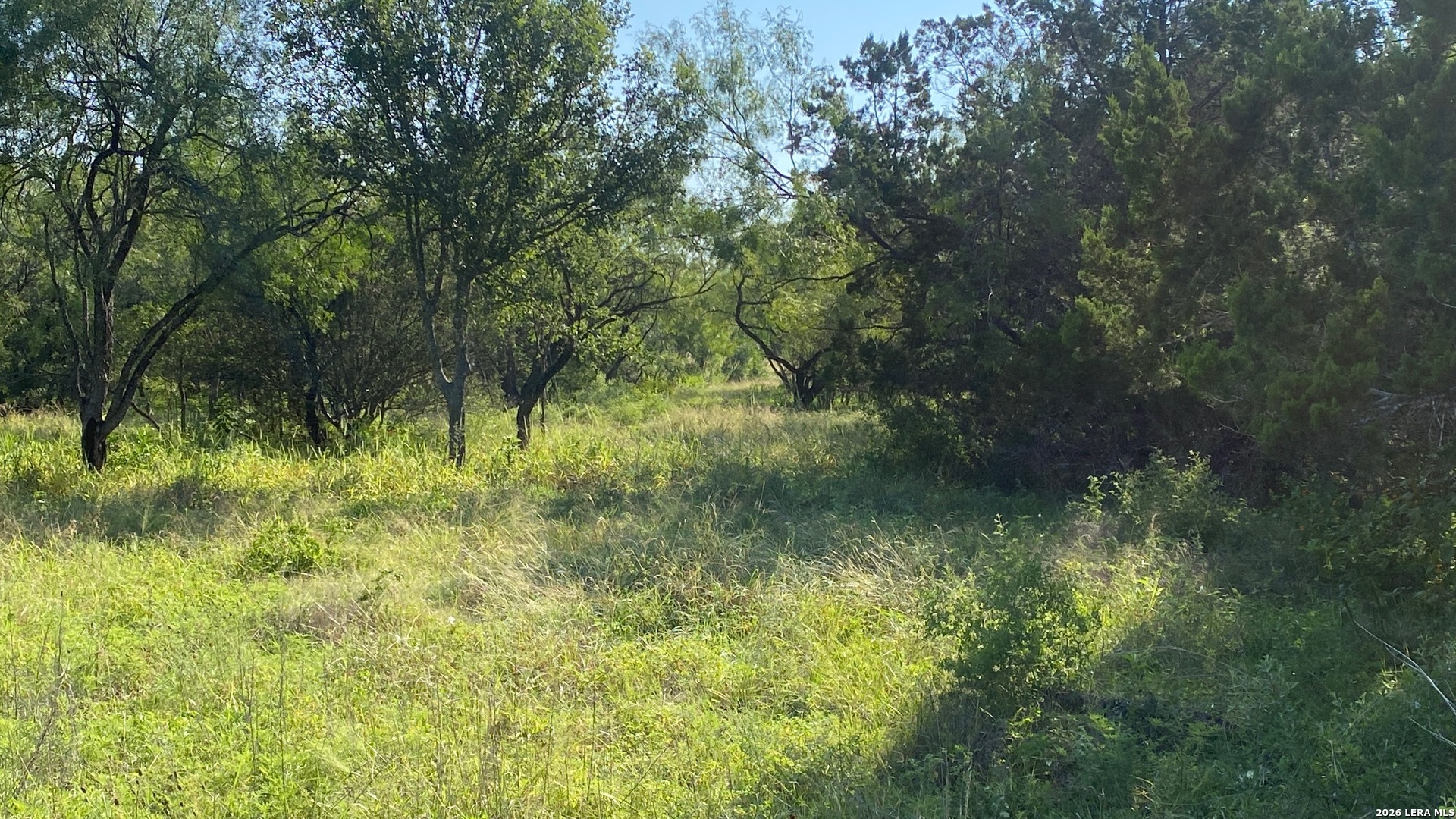 523 Kahn Road Rio Frio TX 78879