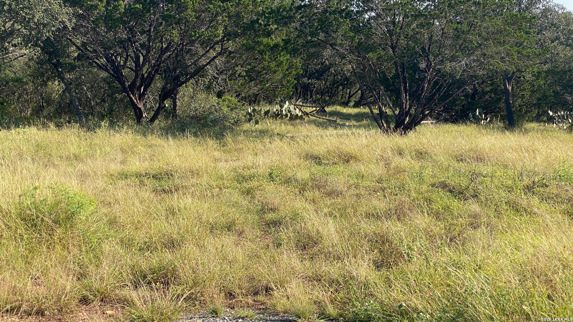 523 Kahn Road Rio Frio TX 78879