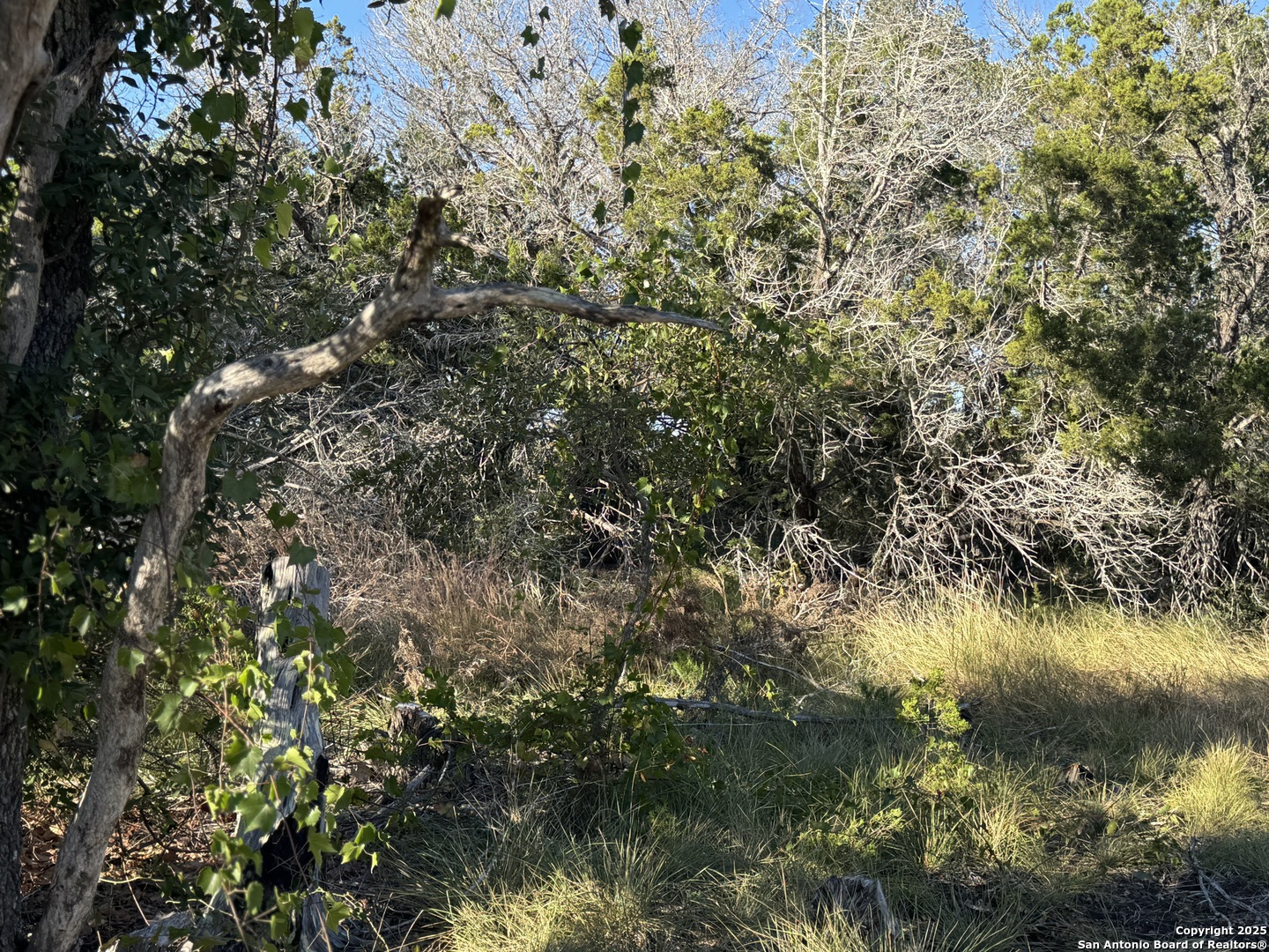 10581 W Ranch Road 337 Camp Wood TX 78833