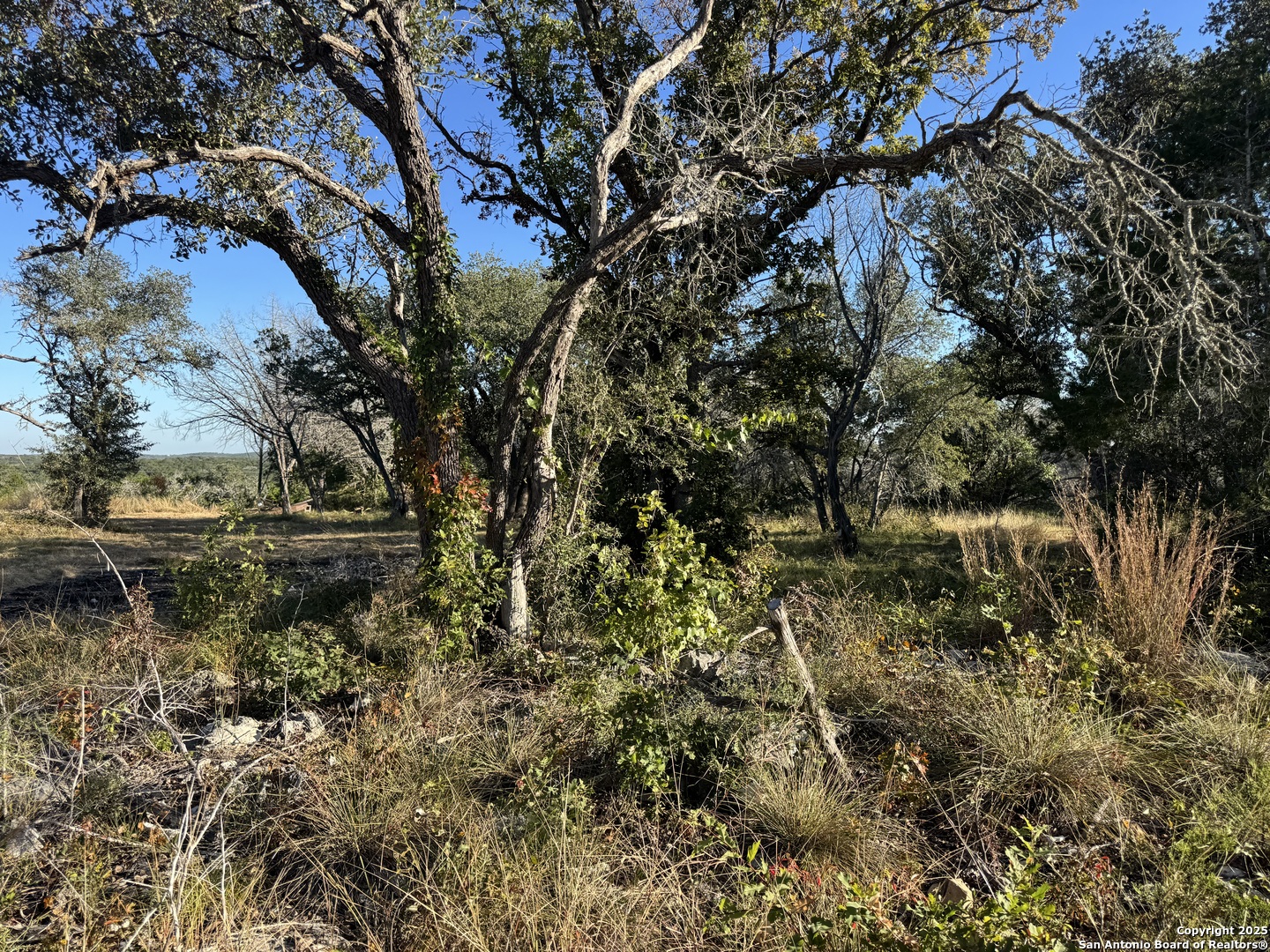 10581 W Ranch Road 337 Camp Wood TX 78833