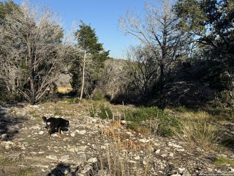 10581 W Ranch Road 337 Camp Wood TX 78833
