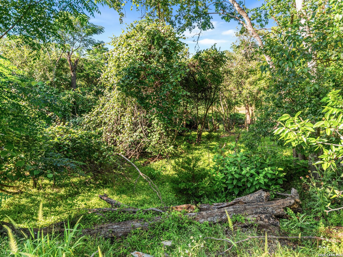 406 Irons Street Boerne TX 78006