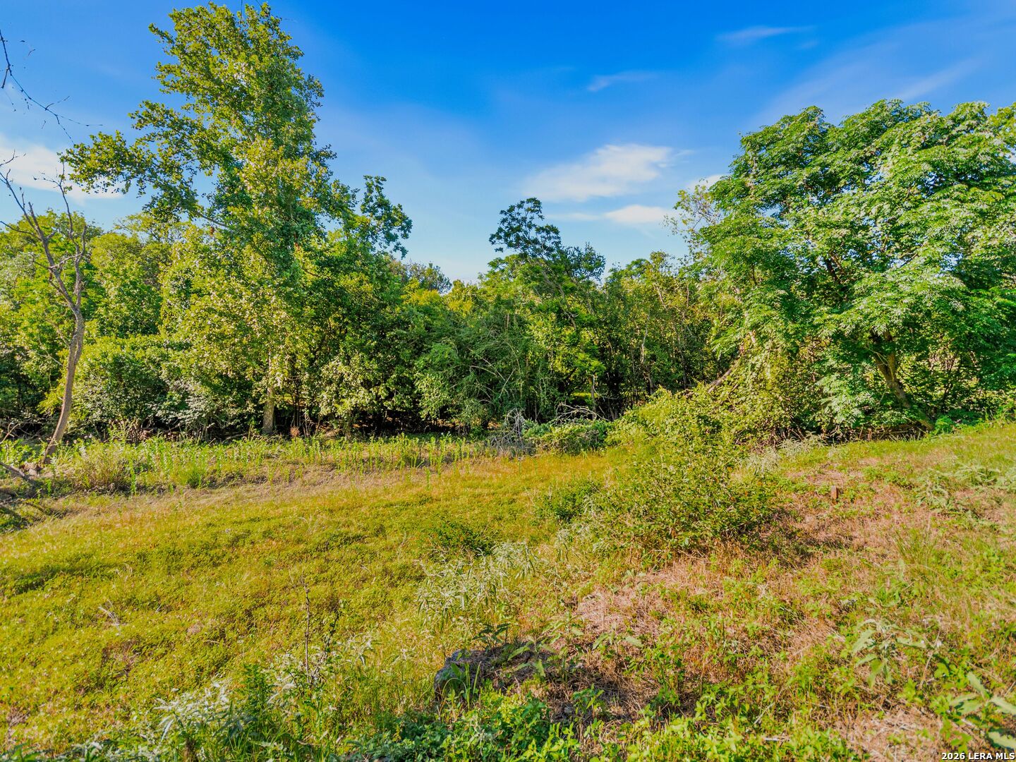 406 Irons Street Boerne TX 78006