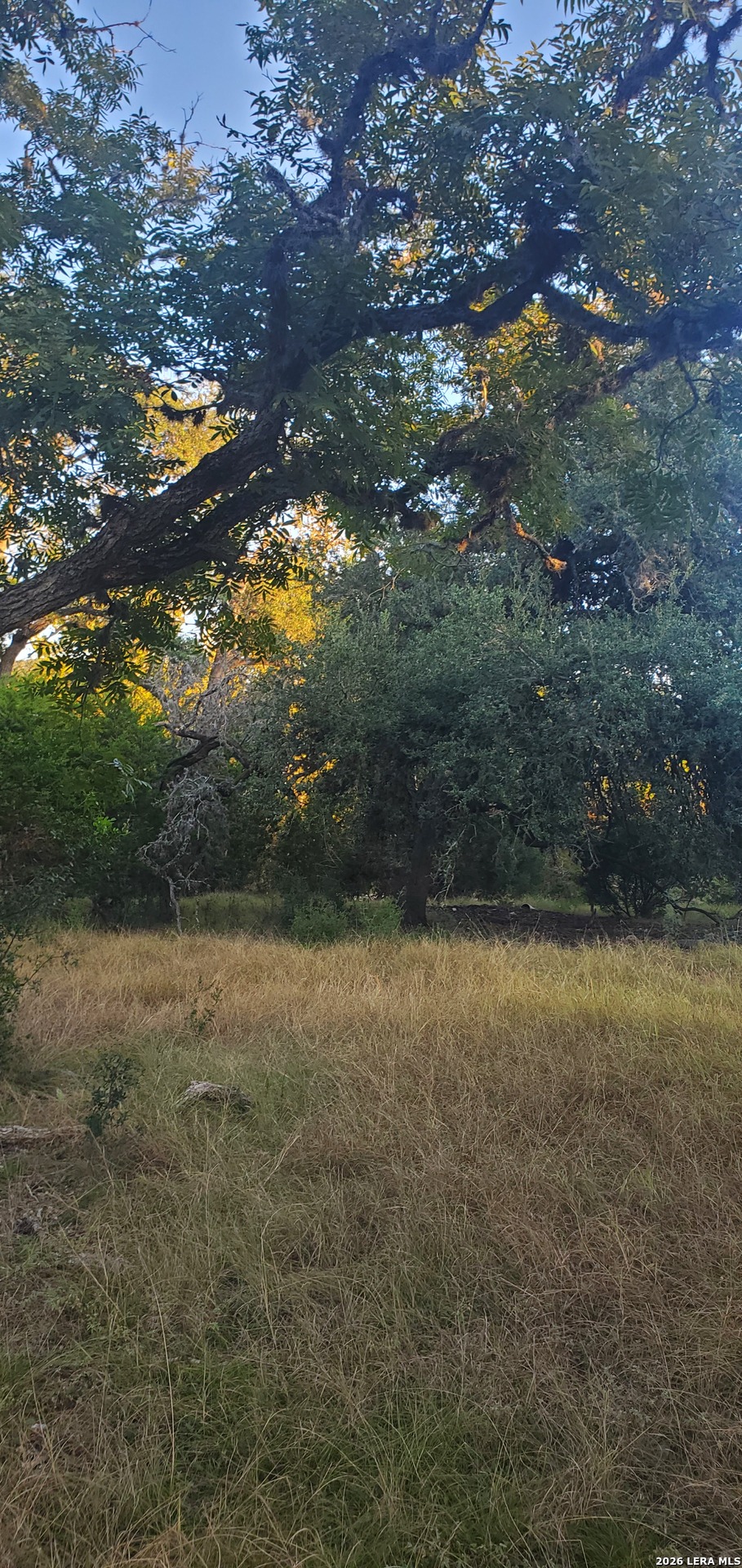 1316 Walter White Road Leakey TX 78873