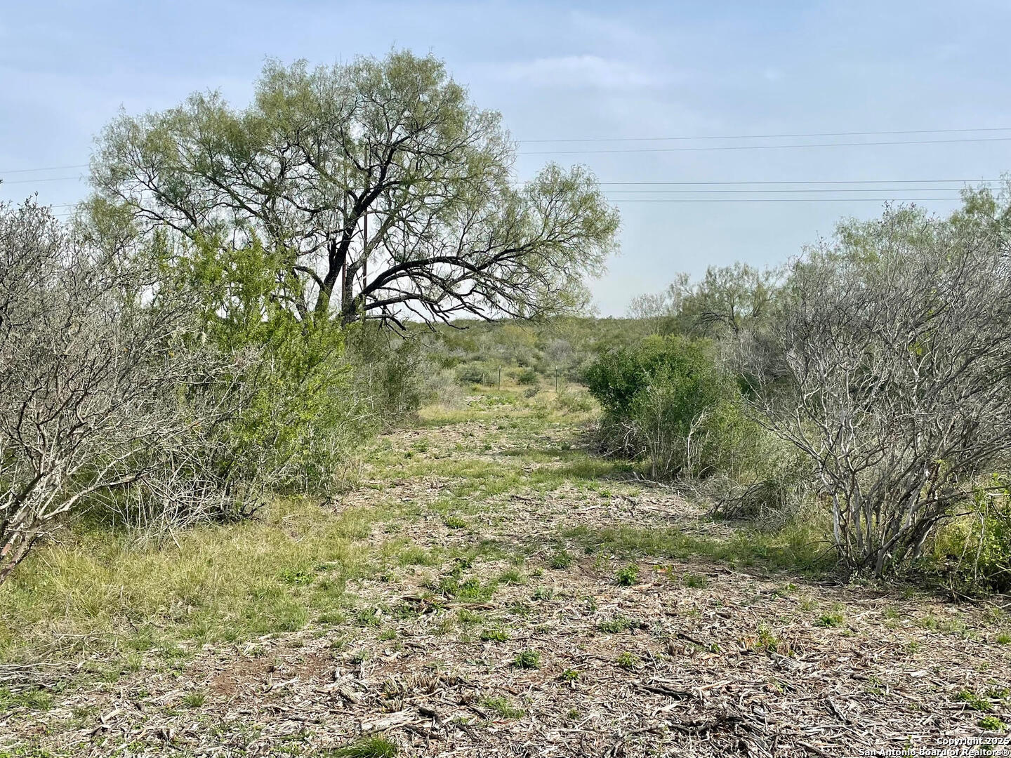 191 County Road 1670 Moore TX 78057