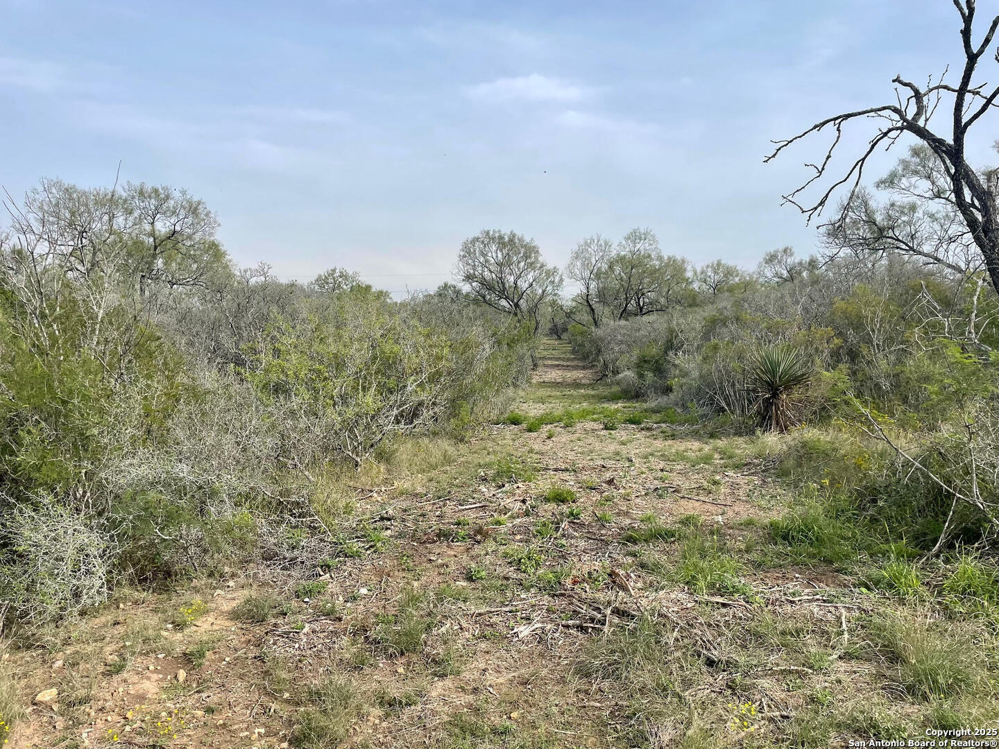 191 County Road 1670 Moore TX 78057