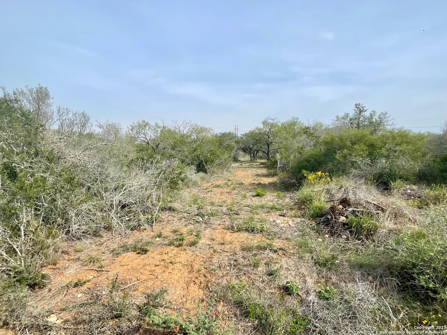 191 County Road 1670 Moore TX 78057