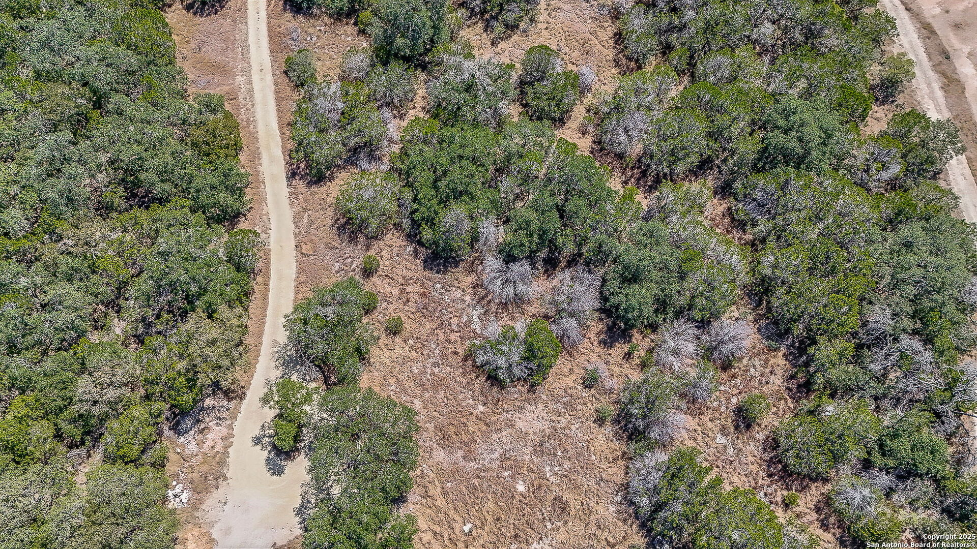 203 Contour Spring Branch TX 78070