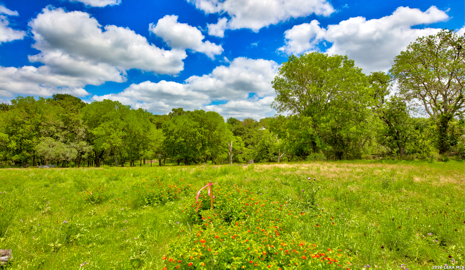 104 Oak Acres Lane Boerne TX 78006