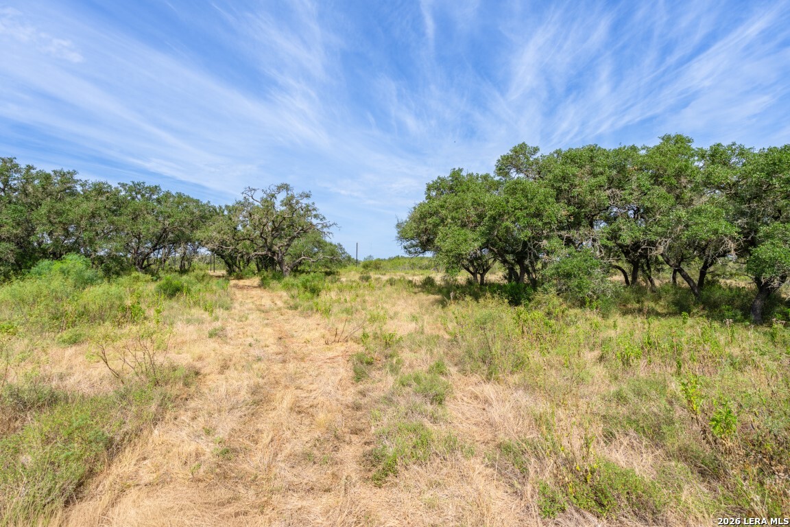 Lot 18 Utopia Forrest Dhanis TX 78850