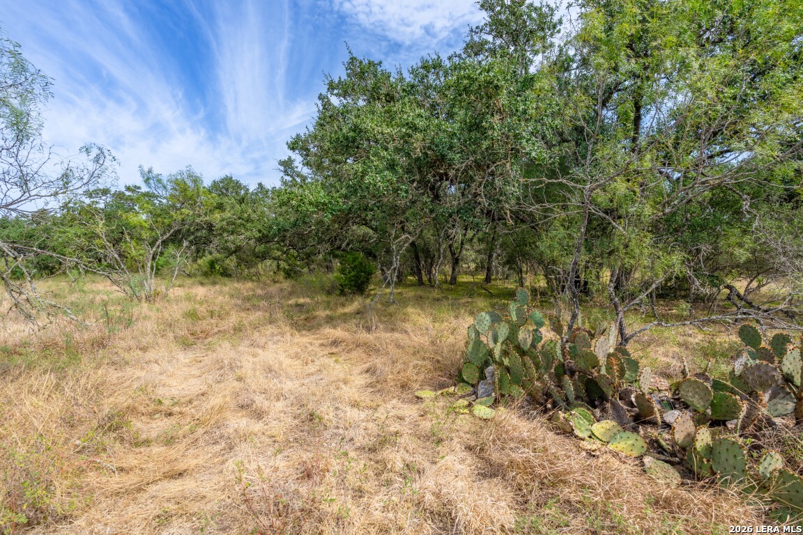 Lot 18 Utopia Forrest Dhanis TX 78850