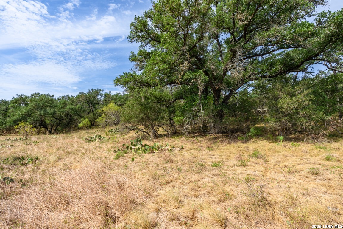 Lot 18 Utopia Forrest Dhanis TX 78850