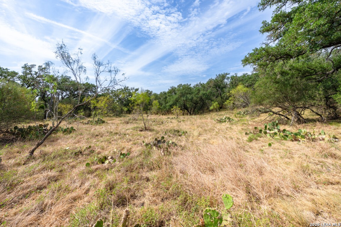 Lot 18 Utopia Forrest Dhanis TX 78850