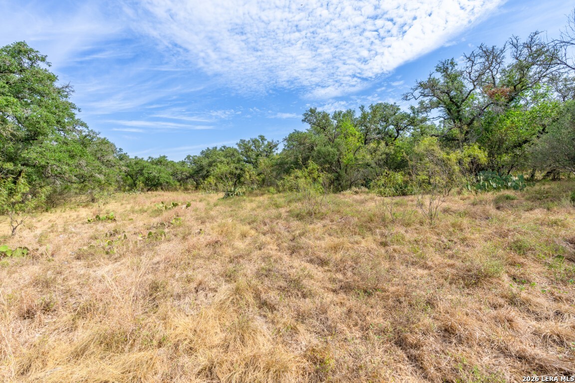 Lot 18 Utopia Forrest Dhanis TX 78850