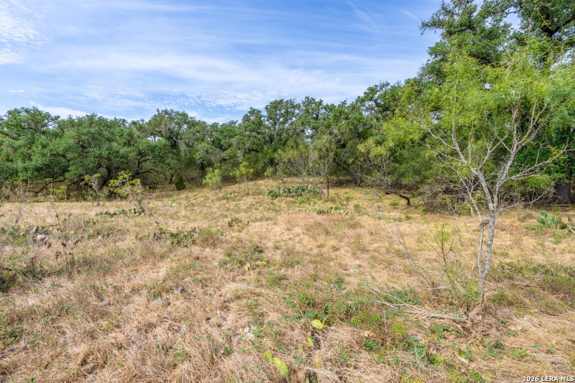 Lot 18 Utopia Forrest Dhanis TX 78850