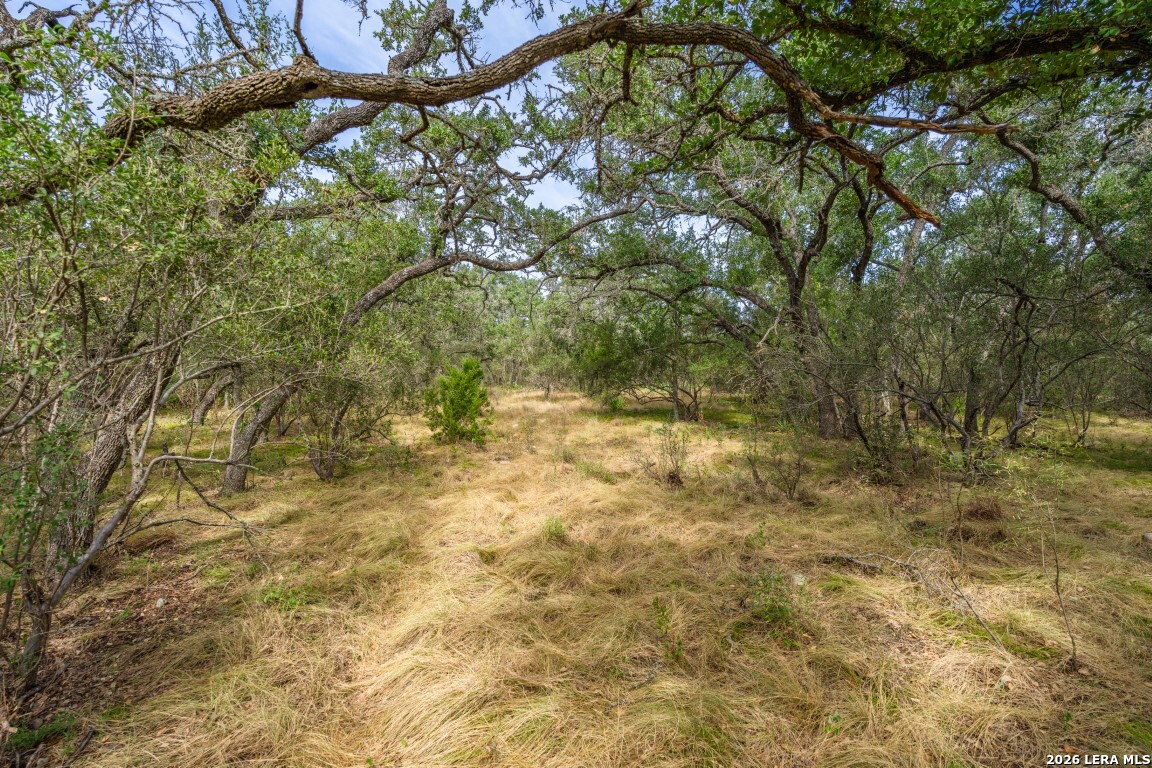 Lot 18 Utopia Forrest Dhanis TX 78850