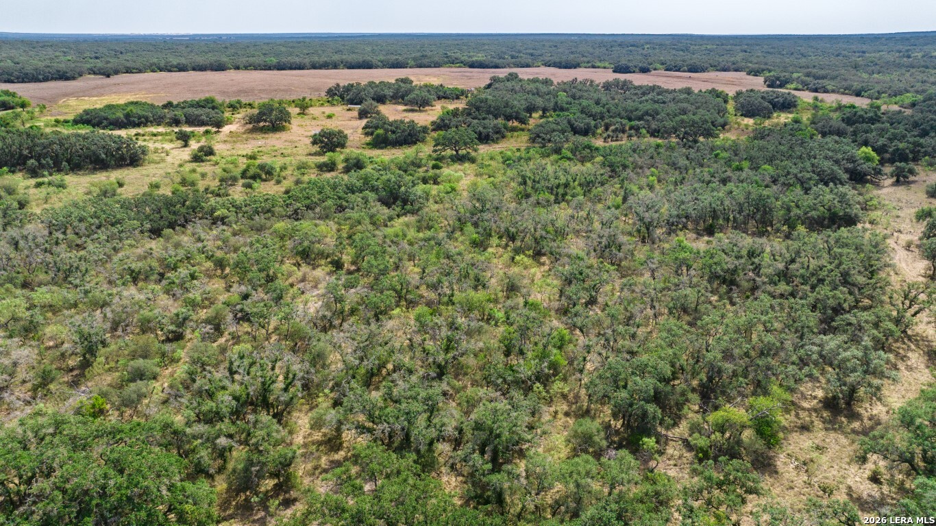 Lot 18 Utopia Forrest Dhanis TX 78850