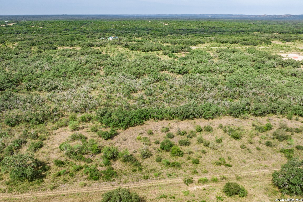 Lot 18 Utopia Forrest Dhanis TX 78850