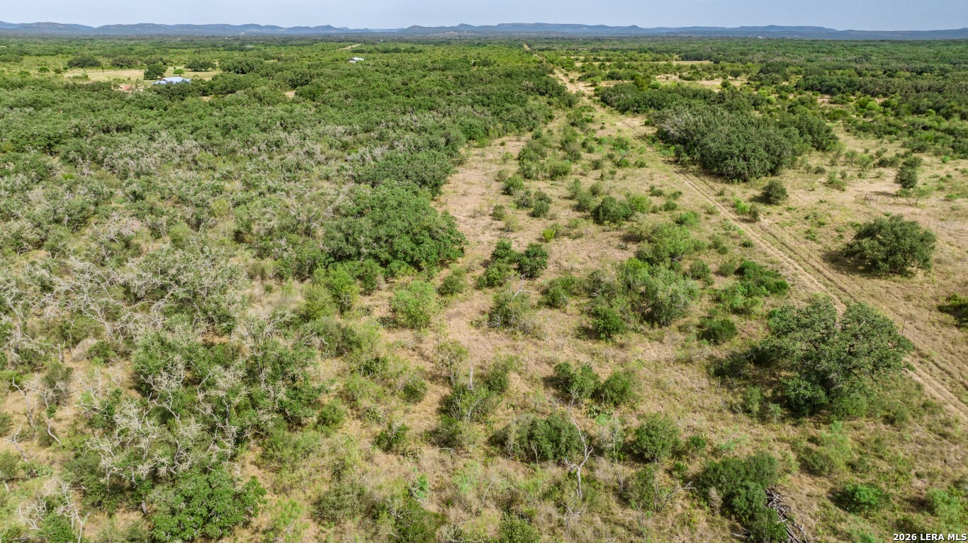 Lot 18 Utopia Forrest Dhanis TX 78850