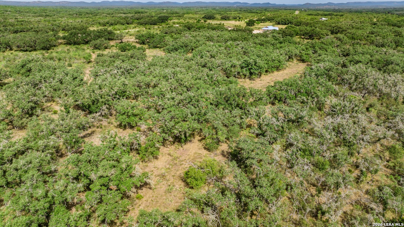 Lot 18 Utopia Forrest Dhanis TX 78850